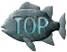 TOPy[W